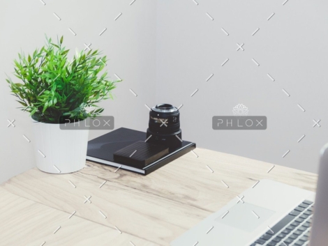 demo-attachment-389-photo-1438302439441-82e18f791f5e